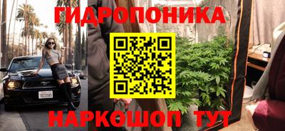 a pvp Кунгур